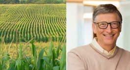 Бил Гејтс купува големи површини на земјоделско обработливо земјиште