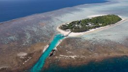УНЕСКО сака да го вклучи големиот корален гребен крај Австралија во загрозените места на светското наследство