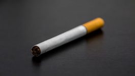 Црна Гора вети дека ќе го искорени шверцот со цигари, кој беше реализиран со таен благослов од САД