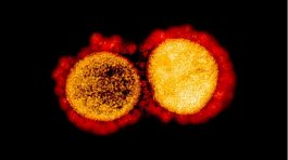Omicron успешно го избегнува имунитетот стекнат преку болест, се вели во студијата